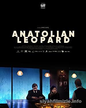 Anadolu Leoparı 2021 izle