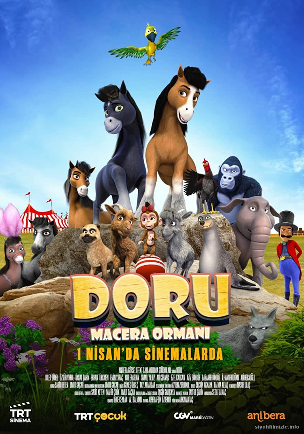 Doru Film Serisi
