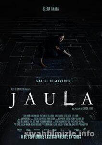 Kafestekiler 2022 izle