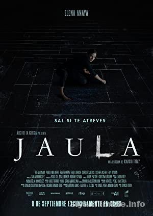 Kafestekiler 2022 izle