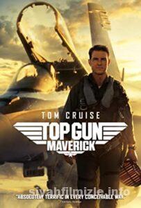 Top Gun Film Serisi
