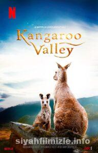 Kanguru Vadisi 2022 izle