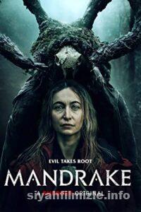 Mandrake 2022 izle
