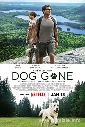 Kayıp Köpek 2023 izle