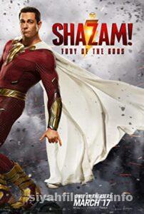 Shazam! Tanrıların Öfkesi 2023 izle