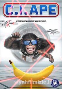 Gizli Ajan Şempanze 2021 izle