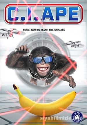 Gizli Ajan Şempanze 2021 izle