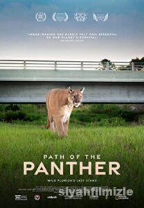 Path of the Panther 2022 izle