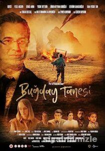 Buğday Tanesi 2022 izle