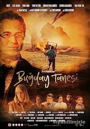 Buğday Tanesi 2022 izle