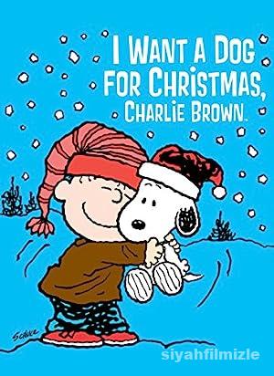 I Want a Dog for Christmas, Charlie Brown 2003 izle