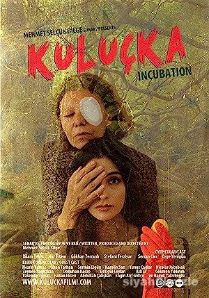 Kuluçka 2017 izle