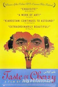 Kirazın Tadı 1997 izle