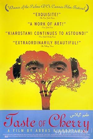 Kirazın Tadı 1997 izle