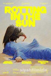 Rotting in the Sun 2023 izle