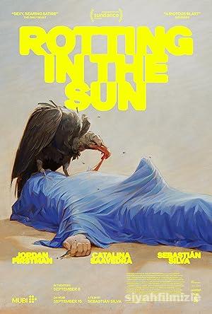Rotting in the Sun 2023 izle