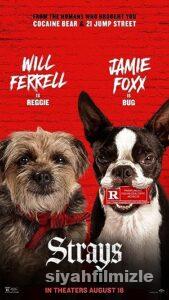 Kulağı Kesikler 2023 izle