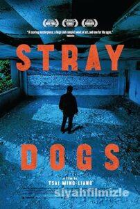 Sokak Köpekleri 2013 izle