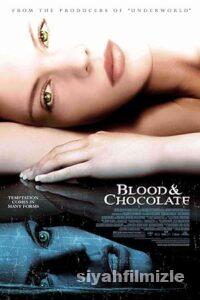 Kan ve Çikolata 2007 izle