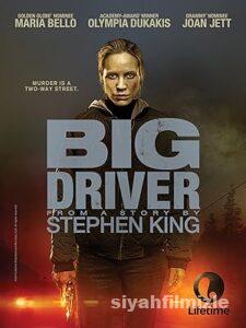 Koca Sürücü 2014 izle