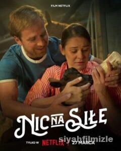 Çiftlik Aşkım 2024 izle