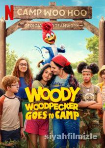 Ağaçkakan Woody Yaz Kampında 2023 izle