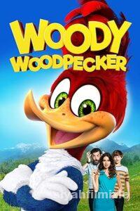 Agaçkakan Woody Film Serisi