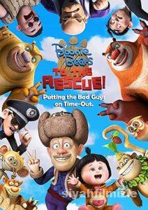 Ayı Kardeşler Film Serisi