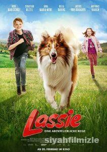 Lassie Eve Dönüş 2020 izle