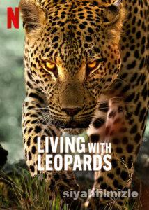 Leoparlarla Yaşam 2024 izle