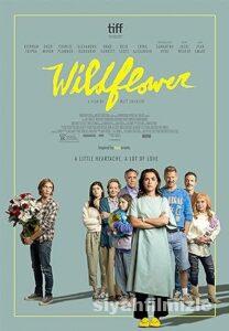 Wildflower 2022 izle