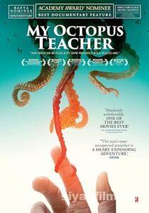 Ahtapottan Öğrendiklerim 2020 izle