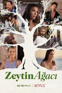 Zeytin Ağacı 2. Sezon izle Dizi Sansürsüz