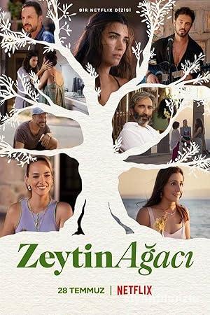 Zeytin Ağacı 1. Sezon izle Dizi Sansürsüz