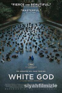 Beyaz Tanrı 2014 izle