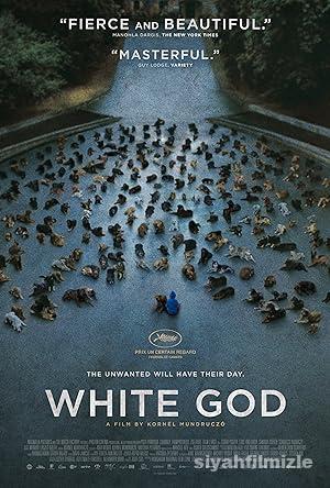 Beyaz Tanrı 2014 izle