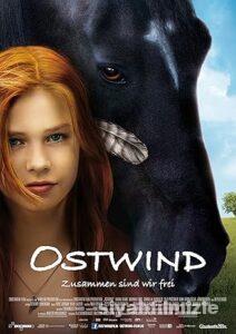 Kasırga 1 2013 izle