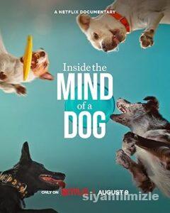 Köpeklerin Aklından Neler Geçiyor? 2024 izle
