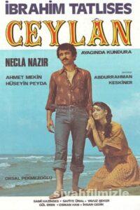 Ceylan 1978 izle