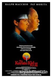 Karateci Çocuk 2 1986 izle