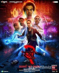 Stree Film Serisi