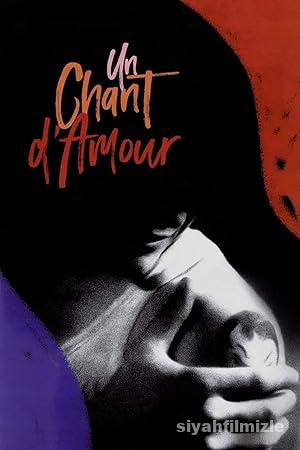 Aşk Bir Şarkı 1950 izle