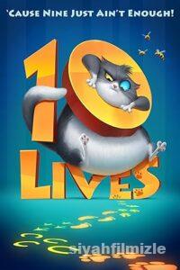 Meraklı Kedinin 10 Yaşamı 2024 izle