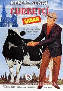 Gurbetçi Şaban 1985 izle