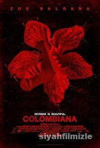 Kolombiyalı: İntikam Meleği 2011 izle