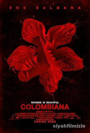 Kolombiyalı: İntikam Meleği 2011 izle