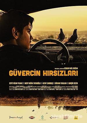 Güvercin Hırsızları 2018 izle
