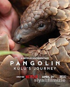 Pangolin: Kulu’nun Yolculuğu 2025 izle