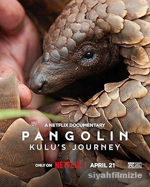 Pangolin: Kulu’nun Yolculuğu 2025 izle