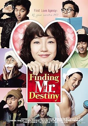 Finding Mr. Destiny 2010 izle